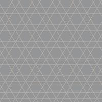 Modern vector seamless illustration. Geometric pattern on a gray background. Ornamental pattern for flyers, typography, wallpapers, backgrounds