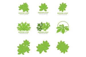 Leaf Lines logo design, Background Icons Artwork Artwork Colors pAstel vector