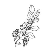 colección bosque helecho eucalipto arte follaje hojas naturales hierbas en estilo de línea. belleza decorativa elegante ilustración para diseño flor dibujada a mano vector