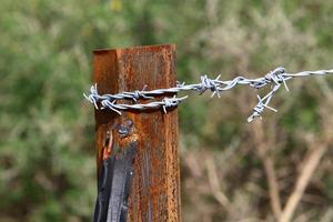 Green plants around a barbed wire fence. photo