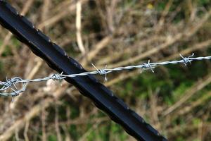 Green plants around a barbed wire fence. photo