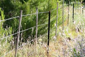 verde plantas alrededor un mordaz cable cerca. foto