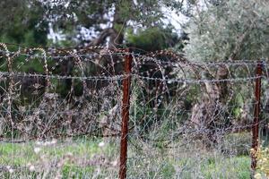 Green plants around a barbed wire fence. photo