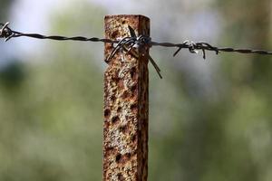 Green plants around a barbed wire fence. photo