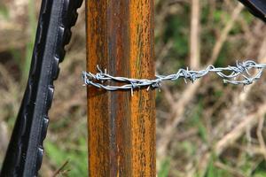 Green plants around a barbed wire fence. photo