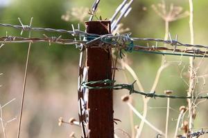 verde plantas alrededor un mordaz cable cerca. foto