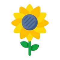 Vector design of sunflower, flat icon