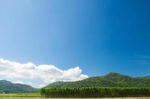 frente ver con vista a verde montañas. claro azul cielo y varios arboles en el distancia. a el primero natural sitio en Mañana de el día, eso es el invierno de el año cuando eso mira entonces relajado foto