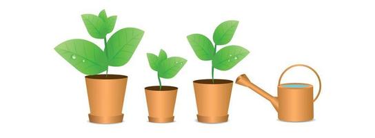 Wide banner on a white background, green plants in pots, spring seedlings, watering can. planting of greenery and watering vector