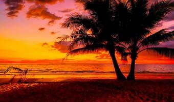 Silhouette of palm trees Beautiful sunset on the tropical sea beach on nature pink background for travel in holiday relax time, photo
