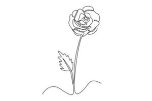 Single one line drawing Rose flower. Beautiful flower concept. Continuous line draw design graphic vector illustration.