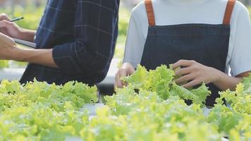 asiatisch Frau und Mann Farmer Arbeiten zusammen im organisch hydroponisch Salat Gemüse Bauernhof. mit Tablette prüfen Qualität von Grüner Salat im Gewächshaus Garten. Clever Landwirtschaft