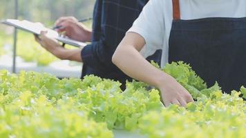 asiatique femme et homme agriculteur travail ensemble dans biologique hydroponique salade légume cultiver. en utilisant tablette inspecter qualité de salade dans serre jardin. intelligent agriculture video