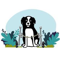 Dog in a wheelchair for the hind paws. Vector illustration in a flat style,