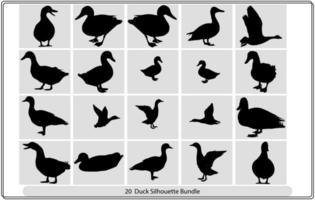 Silhouettes of wild and domestic duck. Duck in Flight. Vector