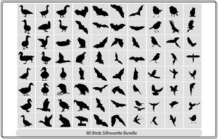 Collection of different birds silhouettes   position. vector