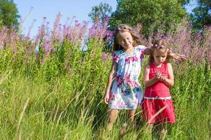 Little sisters having fun outdoors on the meadow photo