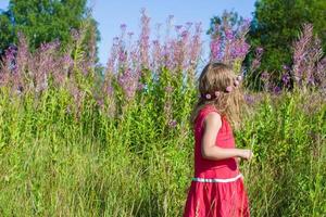 Cute young girl on the meadow photo