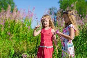 Little sisters having fun outdoors on the meadow photo