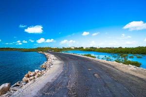 Scenic road view photo