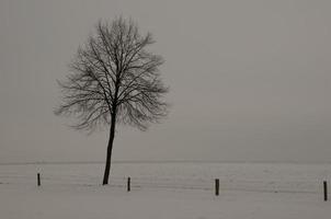 at the castle of Raesfeld in germany photo