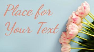 A beautiful bouquet of delicate pink tulips on a blue background with space for your text photo