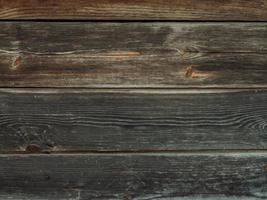 The background texture of the wall is made of gray old wooden boards. Close-up. photo