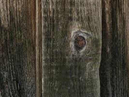 Large background texture of the wall of gray old wooden boards photo