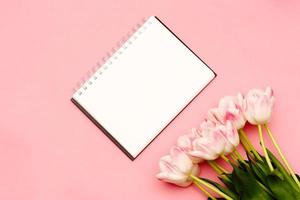 A beautiful bouquet of delicate pink tulips lies on a pink background with a place for your text on a white background photo