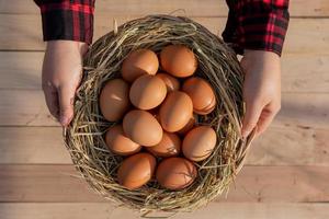 Women wear red striped shirts, put fresh eggs in a rattan baskets placed on wooden floor. photo