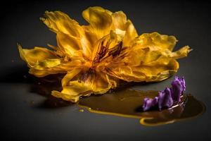 Homemade and tasty fried lilac flower in sunflower oil photography photo