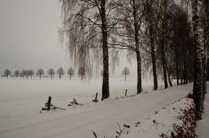 at the castle of Raesfeld in germany photo