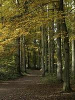 raesfeld castle in westphalia photo