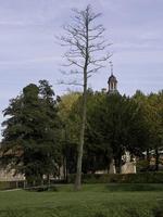 raesfeld castle in westphalia photo