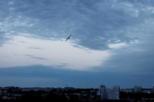 seagull hovering in the sky photo