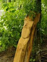 wooden idol, forest landscape by the river photo