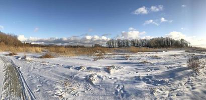 Snowy lake shore panorama, snow reeds trees blue sky sunny day landscape photo