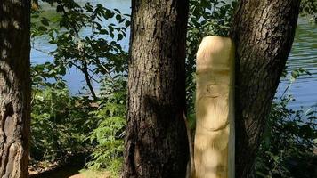 wooden idol, forest summer landscape by the river video