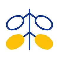 kurma icon duotone blue yellow style ramadan illustration vector element and symbol perfect.