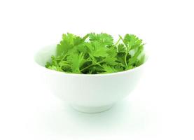 fresh coriander in white bowl photo