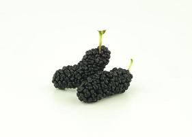 two mulberry on white background photo