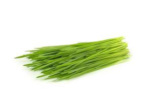 pile of wheat grass photo