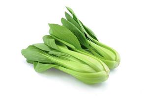 bok choy on white background photo