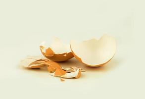 cracked egg shell photo