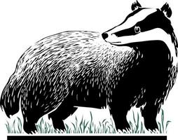 Badger.Linocut.Adorable forest fauna. vector