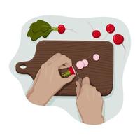 Hands of young person cut radish with a knife on a wooden chopping board and several radishes around from the personal point of view. Process of cooking. Vector flat isolated concept