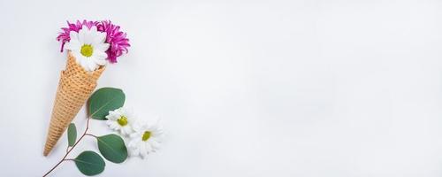 Eucalyptus leaves, waffle cones and chrysanthemum on light background. Still life Minimalism Concept photo