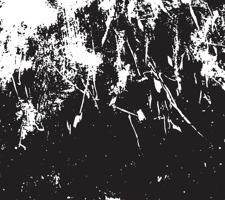 Black And White Grunge Vector Art, Icons, and Graphics for Free Download