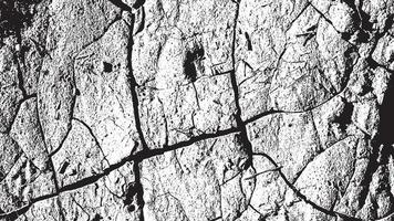 Distressed overlay texture, Grunge background black white abstract, Vector Distressed Dirt, Texture of chips, cracks, scratches, scuffs, dust, dirt.