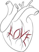 Black, white and red colors loving heart tattoo sketch vector illustration